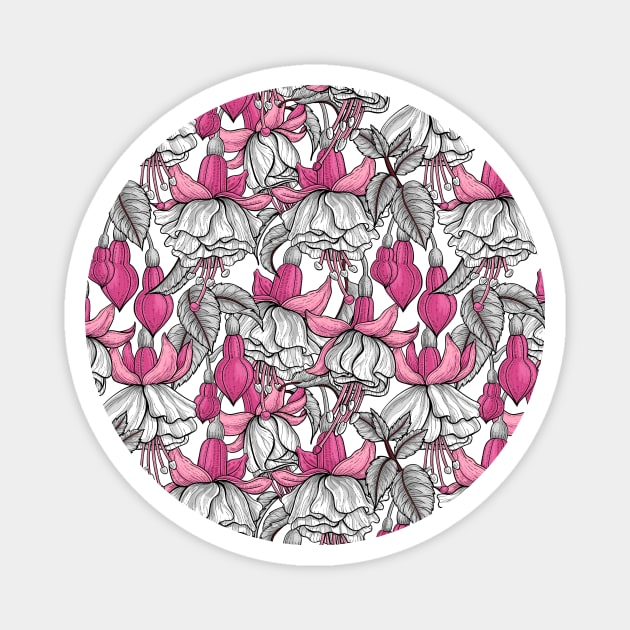 White fuchsia Magnet by katerinamk